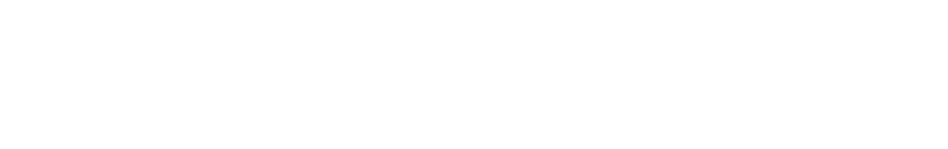 FluCommerce